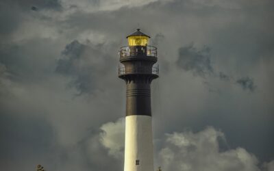 Un largo camino a casa