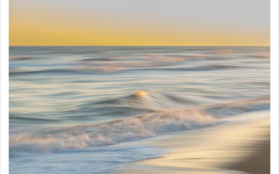 Marenostrum “Recuerdos de mar”